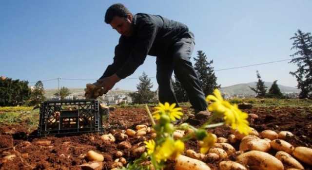 563 مليون دولار عجز الميزان التجاري الفلسطيني خلال أبريل 2025