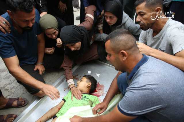 ارتفاع حصيلة العدوان الإسرائيلي على غزة إلى 56,077 شهيدًا و131,848مصابا