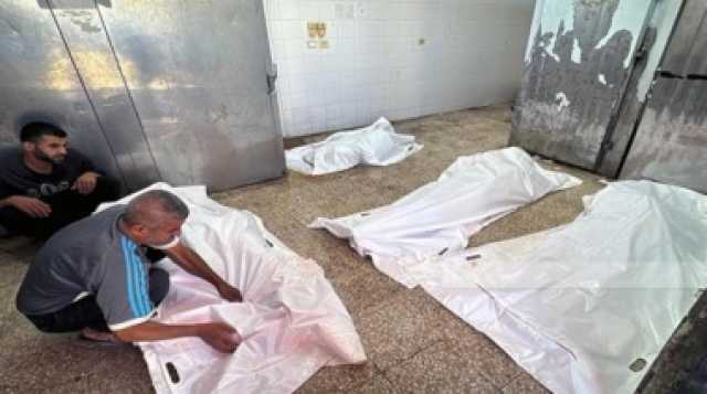 الصحة بغزة: 59 شهيدا حصيلة ما وصل المستشفيات من شهداء المساعدات من صباح اليوم
