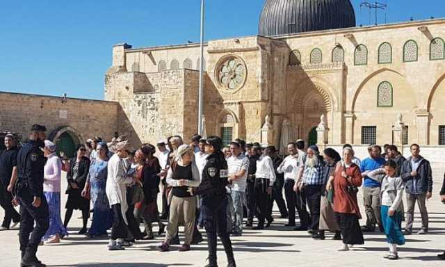 384 مغتصِبًا يهوديًّا يدنِّسون باحات الأقصى المبارك