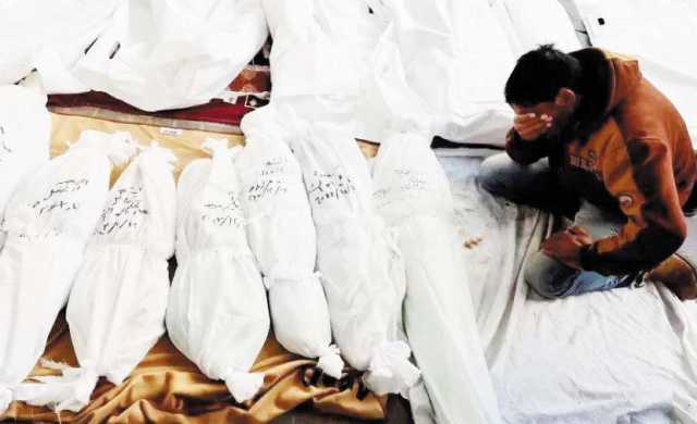 344 شهيدًا وجريحًا في غزة خلال يوم.. وحماس تسلّم ردها على مقترح ويتكوف