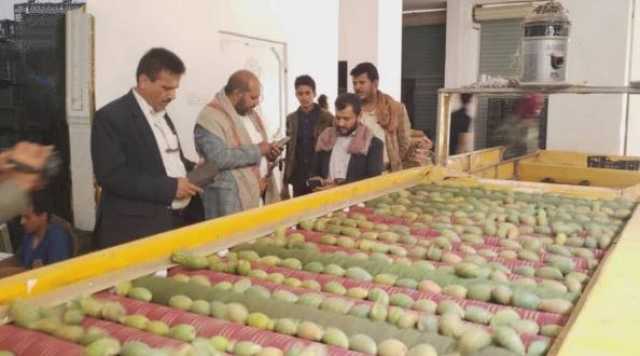 الكهالي يتفقد سير العمل في مؤسسة الفتح للإنتاج والتسويق الزراعي