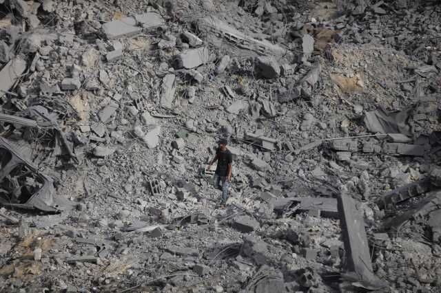 ‫”فاو”: 4.6% فقط من أراضي قطاع غزة صالحة للزراعة