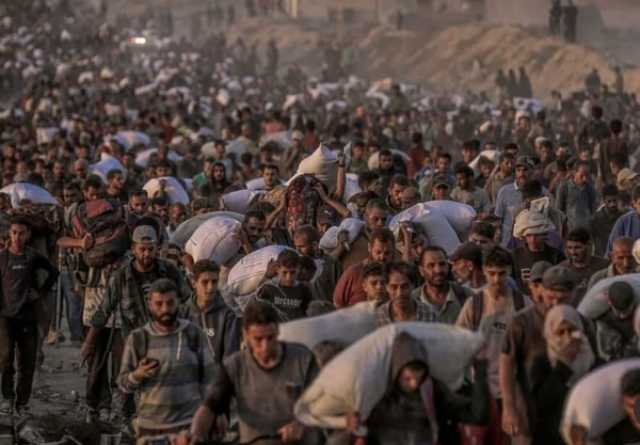 وزير نرويجي: ما تفعله “إسرائيل” في غزة انتهاك صارخ للقانون الإنساني
