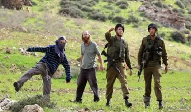 خبراء أمميون يدعون لوضع حد لاعتداءات المستوطنين على الفلسطينيين
