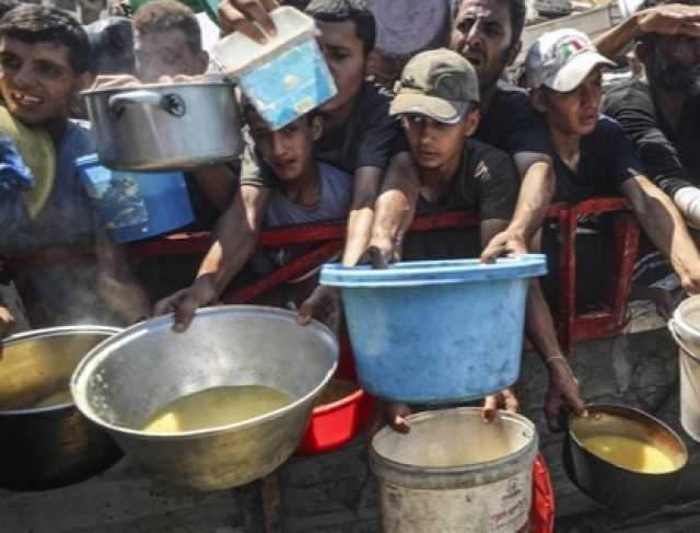 الأمم المتحدة: واحد من كل ثلاثة فلسطينيين بغزة لم يأكل منذ أيام