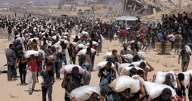 قوارير الطعام ورسائل البحر.. الأمواج تحمل اعتذار الشعوب للمجوَّعين