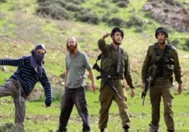 مستوطنون يُجرفون أراضٍ زراعية في شلال العوجا و يهاجمون مركبات الفلسطينيين ببيت لحم