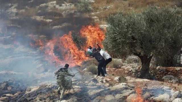 مستوطنون صهاينة يحرقون أراض وخيام فلسطينيين في الضفة الغربية