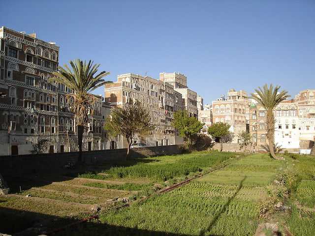 فكرة عابرة..!