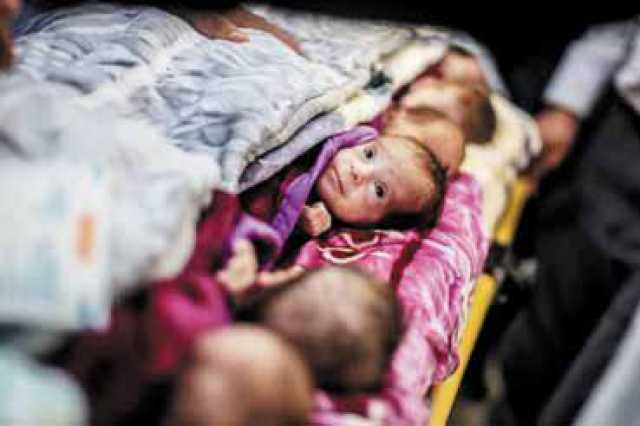في غزة المُجوَّعة.. حوامل يواجهن المخاطر وَأجِنّةٌ محاصَرون في الأرحام