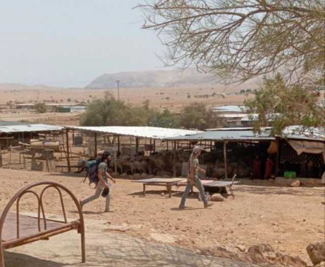 مستوطنون يجبرون عائلتين على الرحيل من مدينة اريحا ويقحتمون بلدة سنجل