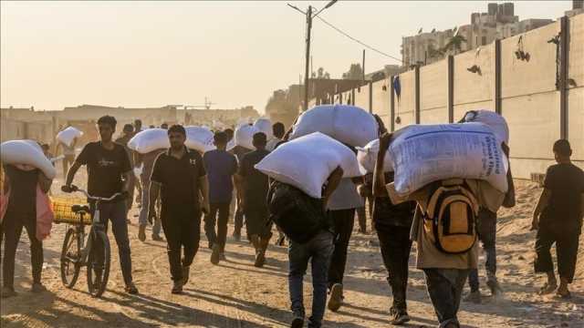 الأمم المتحدة: “إسرائيل” قتلت 46 من عناصر تأمين المساعدات منذ الأول من أغسطس الجاري