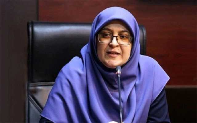 مهاجراني: الحكومة الإيرانية اتخذت التدابير اللازمة للتعامل مع تفعيل آلية سناب باك