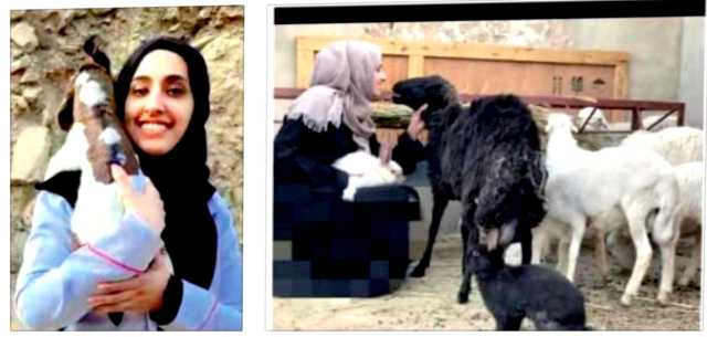لجين الوزير.. مهندسة إنتاج حيواني حوَّلت التحديات إلى فرص عمل