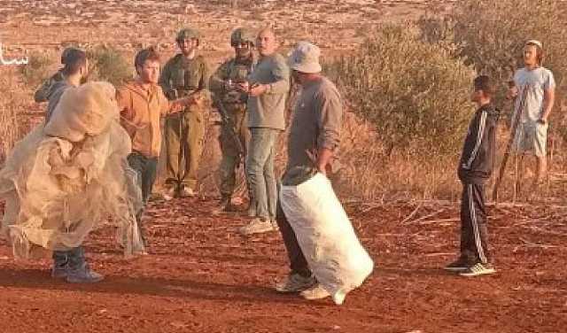 “الديمقراطية”تدين جرائم المستوطنين والعدو الصهيوني بحق قاطفي الزيتون بالضفة