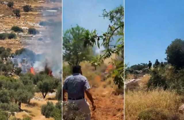 مستوطنون يشنون هجمات متكررة على مزارعين فلسطينيين في الأغوار ورام الله