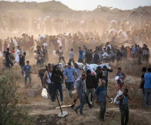 الدفاع المدني بغزة: انتشلنا 9 شهداء نتيجة استهداف العدو باص نازحين والكلاب نهشت جسدي طفلين