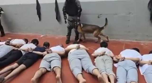 مركز فلسطيني: الاستعراض الصهيوني أمام الأسرى المكبلين مشهد مقزز