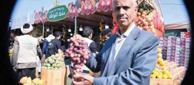 العنب اليمني: إنتاج يتراجع.. فرص ومبادرات تنموية واعدة