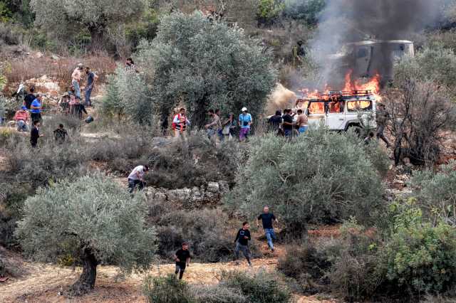 تصاعد هجمات المستوطنين الصهاينة: 259 اعتداء تستهدف قاطفي الزيتون في الضفة المحتلة