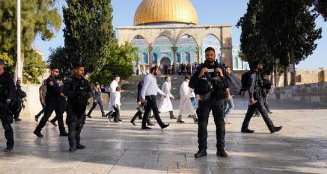 3939 مستوطنًا صهيونيًا اقتحموا الأقصى خلال الأسبوع الماضي