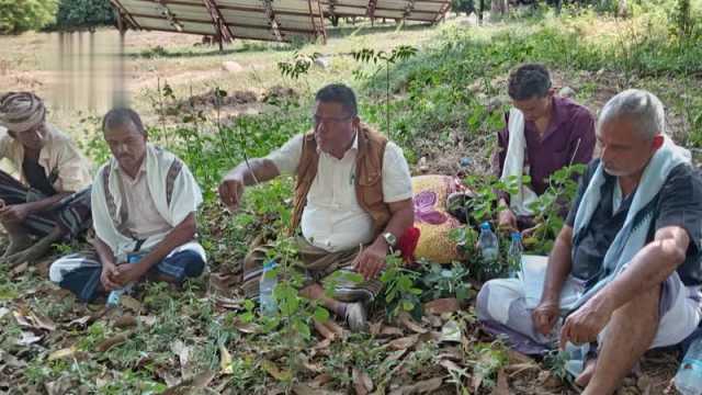يوم حقلي لمزارعي الذرة الشامية والسمسم في بيت الفقيه