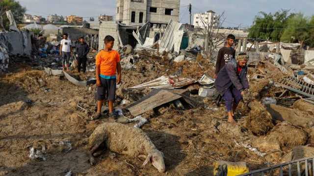 تدمير أكثر من 95% من الإنتاج الحيواني في غزة