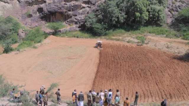 تدشين موسم الزراعة الشتوية لمحصول الذرة الشامية في تعز