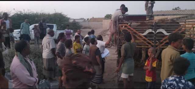 توزيع 24 رأساً من الأبقار على المتضررين جراء السيول في الحديدة