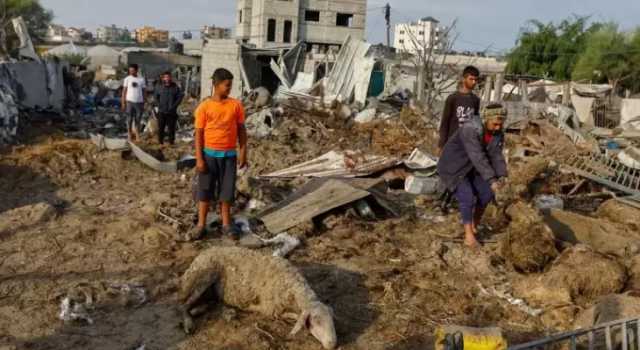 “فاو” تحذر من كارثة إنسانية في غزة وتؤكد أن الحرب دمرت 80% من أراضيها الزراعية