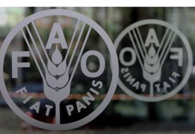 الفاو تعلن تراجع أسعار الغذاء العالمية للشهر الثاني تواليا في أكتوبر الماضي