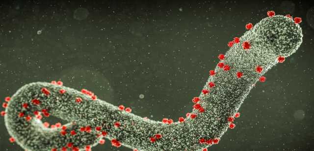 “الصحة العالمية” تحذر من تفشي فيروس “ماربورغ” القاتل في إثيوبيا