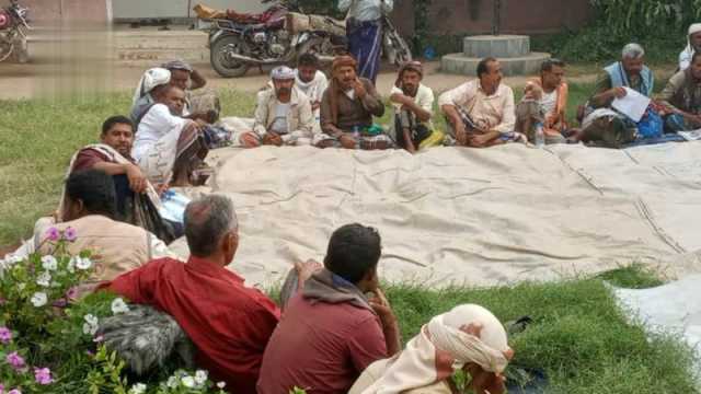 يوم حقلي لمزارعي الذرة الشامية والسمسم في المنصورية بالحديدة