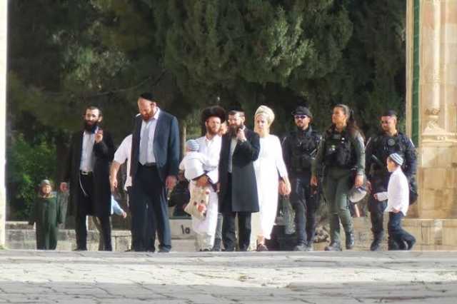 350 مستوطنًا صهيونيًّا يقتحمون الأقصى وحاخام يثبت لفافة توراتية على باب القطانين