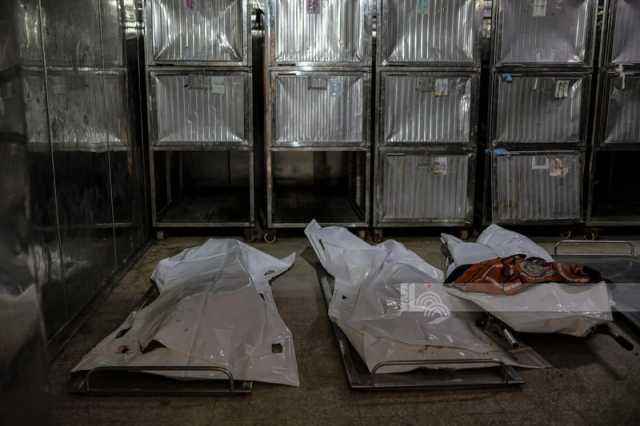 استشهاد فلسطينيَين بنيران العدو الإسرائيلي في غزة