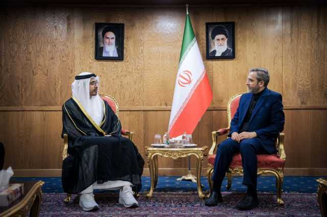 نقل تعازي رئيس الدولة.. عبدالله بن زايد يشارك في مراسم العزاء الرسمية للرئيس الإيراني الراحل