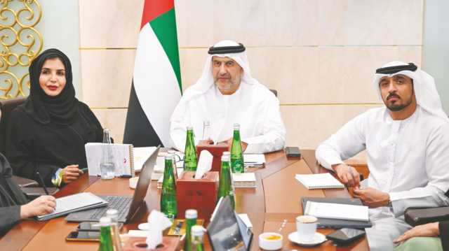 لجنة الصداقة البرلمانية الإماراتية مع برلمانات أمريكا اللاتينية تبحث تعزيز التعاون مع “النواب الأرجنتيني”