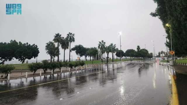 'الأرصاد': هطول أمطار على الرياض حتى الـ 11 مساءً