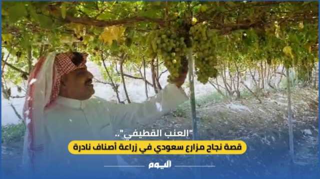 فيديو| 'العنب القطيفي'.. قصة نجاح مزارع سعودي في إنتاج أصناف نادرة