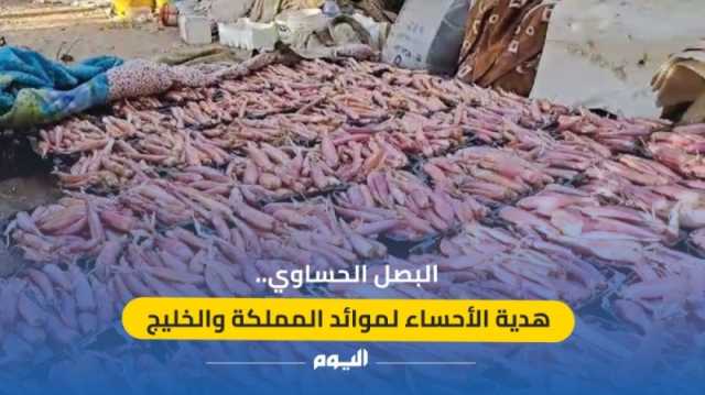 فيديو| البصل الحساوي.. محصول عالي الجودة من الأحساء لموائد المملكة والخليج