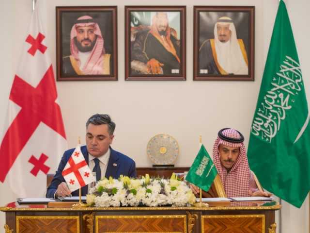 وزير الخارجية ونظيره الجورجي يوقعان مذكرة إنشاء مجلس تنسيق بين البلدين