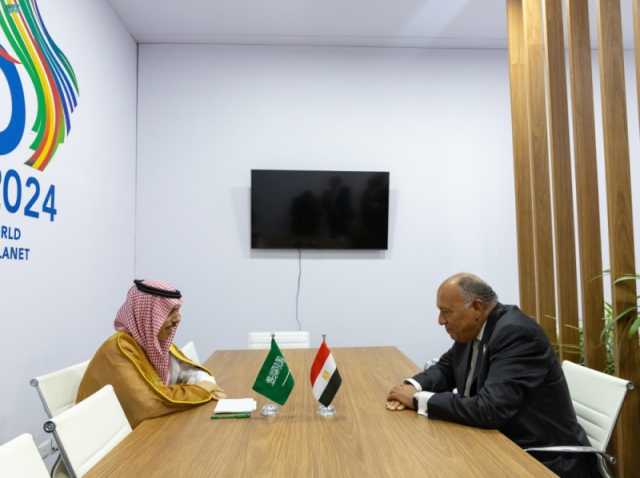 وزير الخارجية يبحث التطورات في غزة مع نظيره المصري