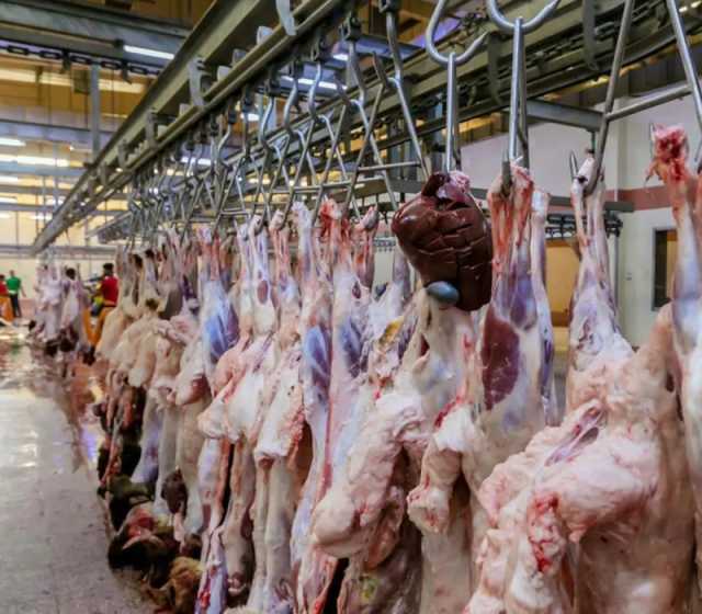 أكثر من 2500 عامل وبيطري لضمان جودة الخدمات في مسالخ الرياض