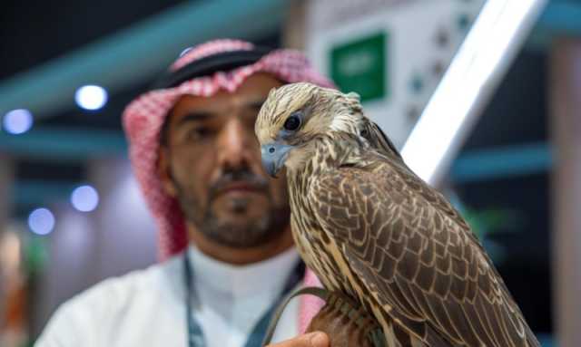 الأضخم في المنطقة.. مزاد الصقور الدولي يقدم نخبة السلالات