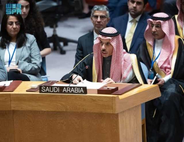 وزير الخارجية: المجتمع الدولي خذل المدنيين العزل في فلسطين