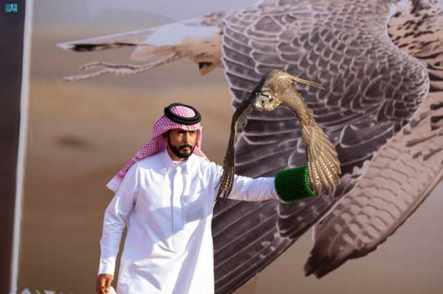 بمشاركة أكثر من 300 صقار.. نادي الصقور يختتم سباق الملواح