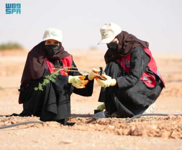 49 مقرًا ومركزًا لزيادة الغطاء النباتي في المملكة خلال 2023