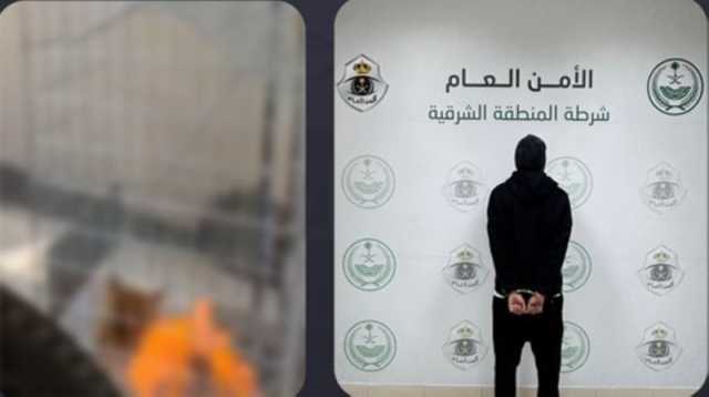 ضبط شخص لنشره محتوى مرئيًا لتعذيب كائن حي بالظهران