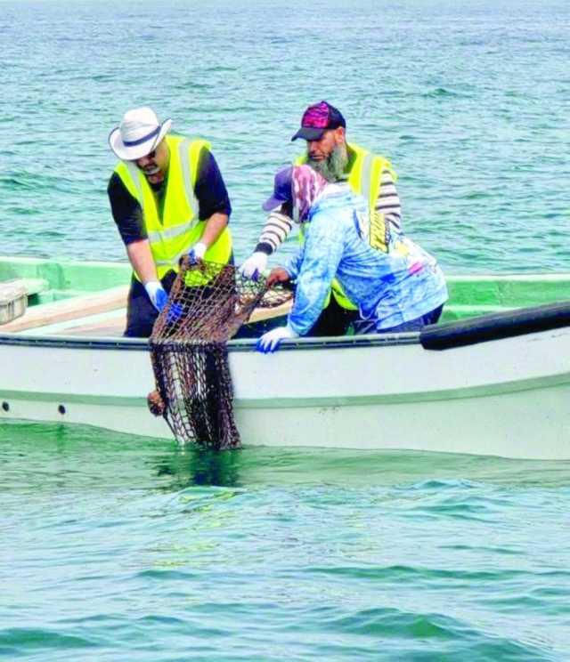 حملة لتنظيف بيئات الشعاب المرجانية بمحمية جزر الديمانيات